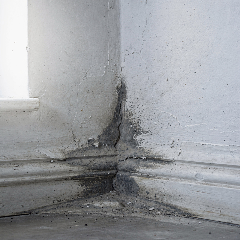 Wand mit Schimmelbefall in Wohnraum
